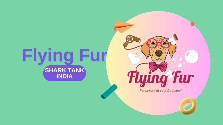 What Happened to Flying Fur After Shark Tank India?